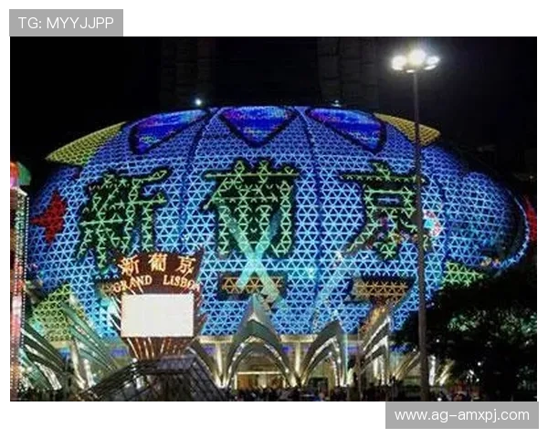 澳门新葡京国际娱乐游戏攻略与技巧分享提升玩家获胜几率的实用方法