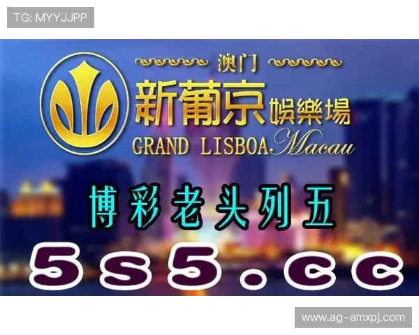 澳门新葡京官方入口官方网址查询，确保玩家使用正规渠道安全登录游戏